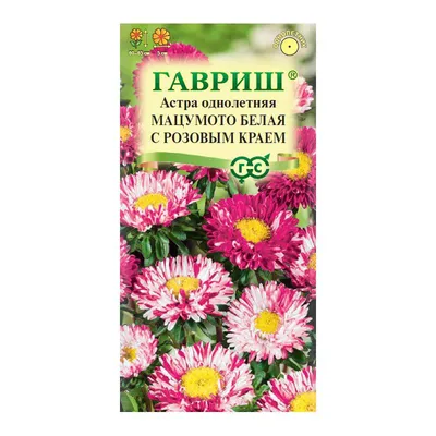 Астра Мацумото, однолетняя (белая с розовым краем) 0,3 г — купить в  Починке: цена за штуку, характеристики, фото