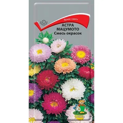 Цветы Астра Мацумото 200% ЦВ/П (РУССКИЙ ОГОРОД) 0,5гр однолетник до 75см