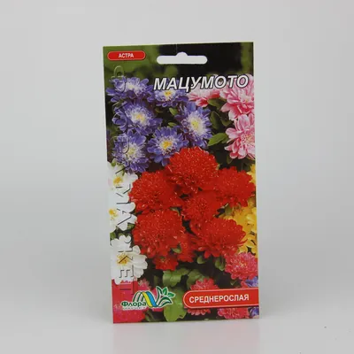 Астра \"Мацумото\" белая с розовым краем, семена, цветы купить по цене 49 ₽ в  интернет-магазине KazanExpress