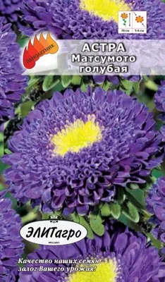 Семена цветов Астра \"Мацумото\", однолетняя, смесь, 0,3 г (5462588) - Купить  по цене от 12.00 руб. | Интернет магазин SIMA-LAND.RU