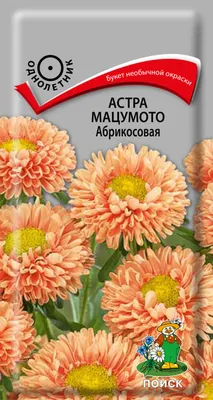 Перед вами - Астра китайская Серенада смесь расцветок от Биотехники! 🌸 ⠀  👉🏻 Астра Серенада - это новейшая сортосерия группы Мацумото,… | Огород,  Сад