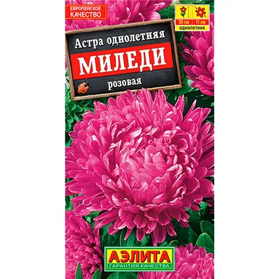 Астра Миледи 0.3 г Gl Seeds (ID#539863037), цена: 9 ₴, купить на Prom.ua