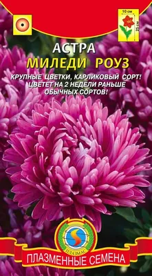 Семена \"Цветы. астра. миледи розовая\", 0,2 г Фаско 1000526177 купить от 13  руб. в каталоге семена цветов в разделе дача и сад интернет-магазина,  заказать с доставкой по Москве и России