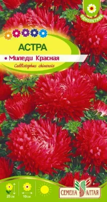 Купить семена Астра Миледи роуз (розовая) в Минске и почтой по Беларуси