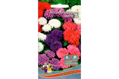 Астра Миледи белая фермерский пакет: продажа, цена в Киеве. Семена и клубни  трав и цветов от \"AGRO-MART\" - 1368423866