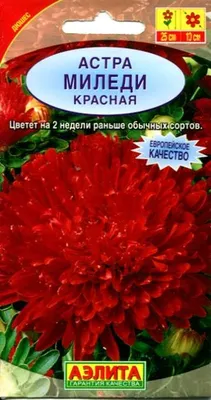 Семко Семена Цветов Астра Миледи