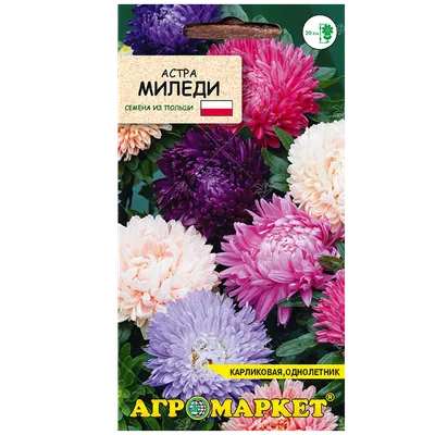 Астра Супер Миледи, смесь сортов - Садовый центр «СадОК»
