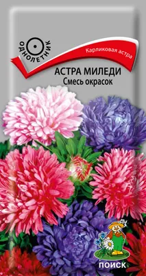 Семена Астра Миледи, смесь (а/ф Русский Огород) купить за 35 р. в садовом  центре АСТ Медовое