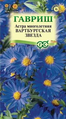 ✓ Семена Астра многолетняя Вартбургская звезда, 0,05г, Гавриш, Цветочная  коллекция по цене 70 руб. ◈ Большой выбор ◈ Купить по всей России ✓  Интернет-магазин Гавриш ☎ 8-495-902-77-18