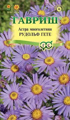 Семена цветов Астра многолетняя микс смесь окрасок Agroni – купить в Алматы  по цене 155 тенге – интернет-магазин Леруа Мерлен Казахстан