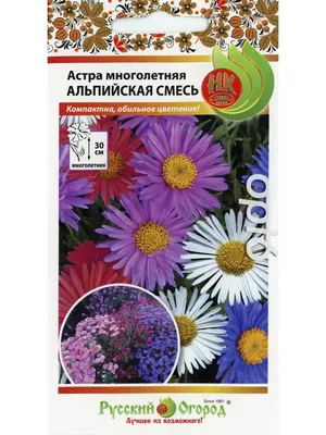 🌱 Астра многолетняя Альпийская смесь по цене от 51 руб: семена - купить в  Москве с доставкой - интернет-магазин Все Сорта