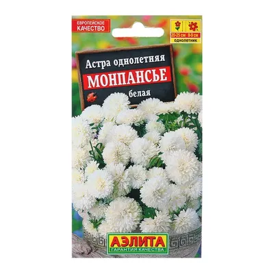 Астра Монпансье белая (семена,цветы) купить по цене 45.41 ₽ в  интернет-магазине KazanExpress