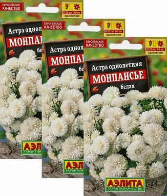 Семена цветы \"Астра Монпансье смесь\" купить по цене 37.71 ₽ в  интернет-магазине KazanExpress
