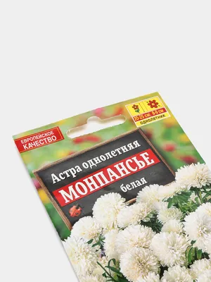 Астра Монпансье серебристая (семена,цветы) купить по цене 56.05 ₽ в  интернет-магазине KazanExpress
