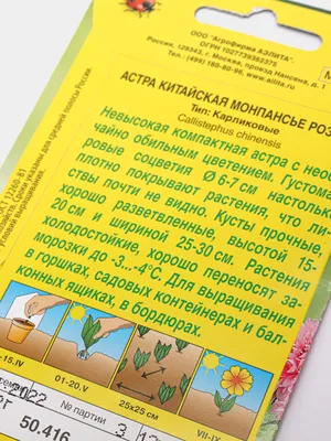 Семена цветов Астра \"Монпансье темно-голубая\" купить по цене 37.71 ₽ в  интернет-магазине KazanExpress