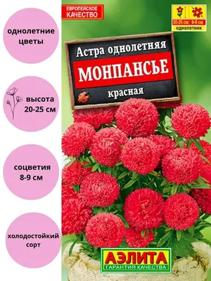 Семена цветов Астра Монпансье Агрофирма Аэлита 150436488 купить за 124 ₽ в  интернет-магазине Wildberries