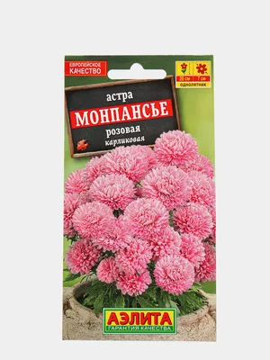 Астра Монпансье розовая за 62 ₽ купить в интернет-магазине ПСБ Маркет от  Промсвязьбанка
