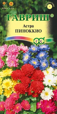 ✓ Семена Астра Пиноккио, смесь, 0,3г, Гавриш, Цветочная коллекция по цене  40 руб. ◈ Большой выбор ◈ Купить по всей России ✓ Интернет-магазин Гавриш ☎  8-495-902-77-18