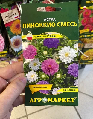 Астра Пиноккио смесь купить в Минске.