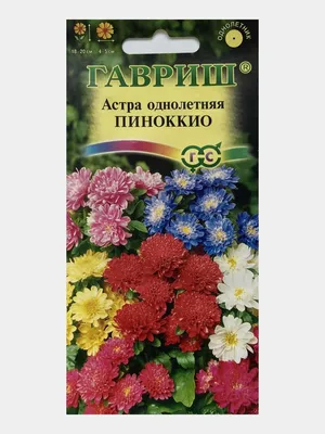 Цветы Астра Пиноккио Смесь ЦВ/П (РУССКИЙ ОГОРОД) 50шт однолетник 25см