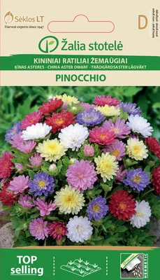 Семена Астра Пиноккио, белая 1 кг (7441047) - Купить по цене от 68 420.00  руб. | Интернет магазин SIMA-LAND.RU