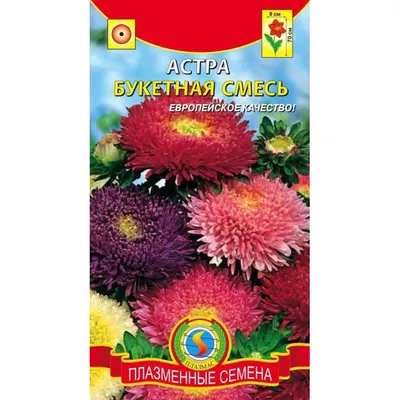 Семена астра Русский огород Пиноккио смесь 113500 1 уп. - отзывы  покупателей на Мегамаркет