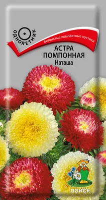 ПОИСК Семена цветов Астра помпонная Смесь окрасок