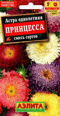Купить Астра Тысяча чудес ярко-розовая карликовая (Семена алтая) с  доставкой почтой по России