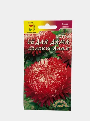 Цветы Астра Седая Дама Смесь ЦВ/П (СОТКА) 0,2гр однолетник до 70см