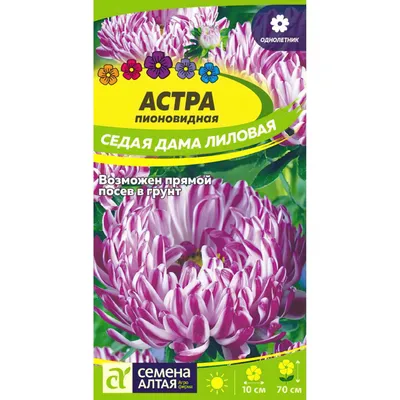 Семена цветов Астра \"Седая дама алая\" купить по цене 59 ₽ в  интернет-магазине KazanExpress