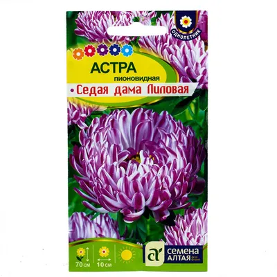 Астра Седая Дама пионовидная 0.1г Одн смесь 70см (Цвет сад) 10 шт — купить  в интернет-магазине по низкой цене на Яндекс Маркете