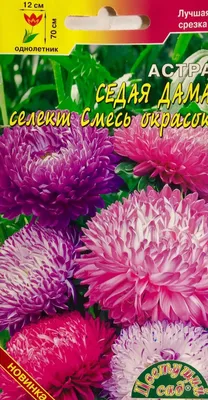 Семена Астра Седая дама смесь, Одн - купить по выгодной цене | Урожайка