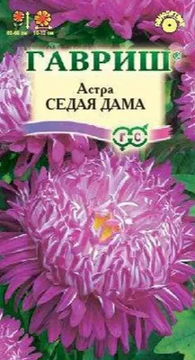 Астра Седая Дама синяя 0.3 г Gl Seeds (ID#539896838), цена: 10 ₴, купить на  Prom.ua