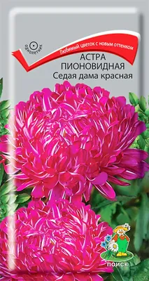 Астра Седая Дама, пионовидная 0,3 гр. купить оптом в Томске по цене 14,98  руб.