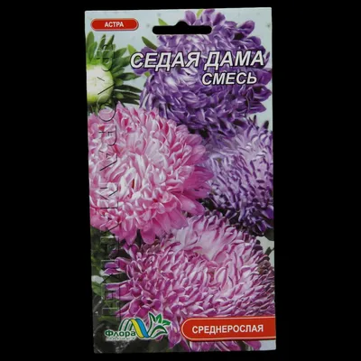 Астры однолетние Цветущий сад ЦС Астра СЕДАЯ ДАМА - купить по выгодным  ценам в интернет-магазине OZON (437630286)