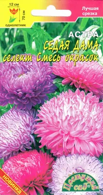 Семена Тимирязевский питомник цветы астра Седая дама 0.2г