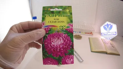 Семена астры 0,1 г. купить в Украине почтой, цена оптом 2019