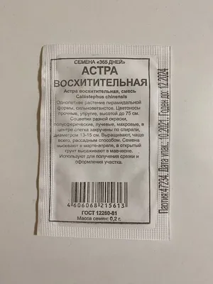 Купить Астра Аполлония Светло-голубая (Семена алтая) с доставкой почтой по  России