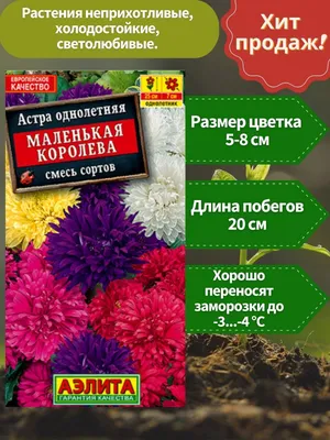 Семена 365 ДНЕЙ Астра Восхитительная, на срезку 1999946082 – купить онлайн,  каталог товаров с ценами интернет-магазина Лента | Москва, Санкт-Петербург,  Россия
