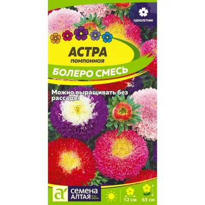 Астры однолетние Агрофирма Аэлита АСТРА ЗОЛОТОЕ СОЛНЦЕ ПИОНОВИДНАЯ - купить  по выгодным ценам в интернет-магазине OZON (844803536)