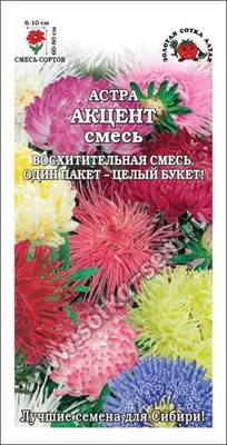 Астра Маленькая королева, смесь окрасок - Садовый центр «СадОК»