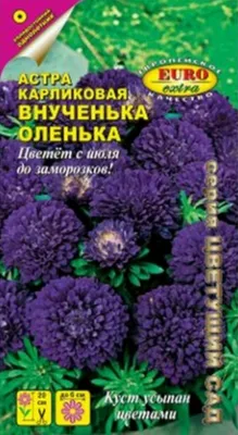 Гавриш Семена цветов астра садовая махровая игольчатая 4 шт