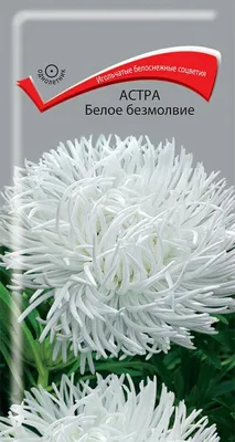 Купить Астра Баллон Смесь (Семена алтая) с доставкой почтой по России