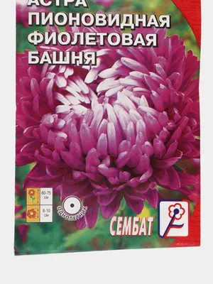Живописная и восхитительная серия …» — создано в Шедевруме