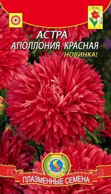 АСТРЫ! 😍... - Ботанический сад МГУ «Аптекарский огород» | Facebook