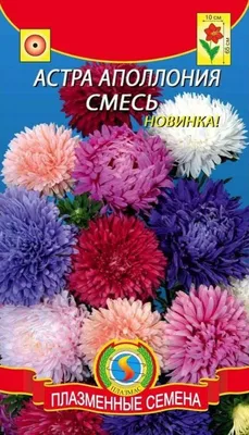 Семена астры ассорти — купить по низкой цене на Яндекс Маркете