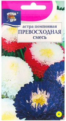 Семена цветов Астра пионовидная \"Фиолетовая Башня\", 0,2 г купить по цене 39  ₽ в интернет-магазине KazanExpress