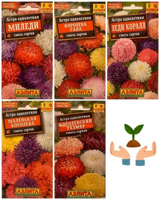 Астра Астра Аполону Червона 0,2 г червоні (Плазмові насіння)  (ID#1042705351), цена: 7.60 ₴, купить на Prom.ua