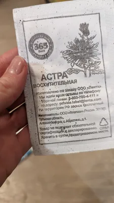 Купить Астра Аполлония смесь (п) от