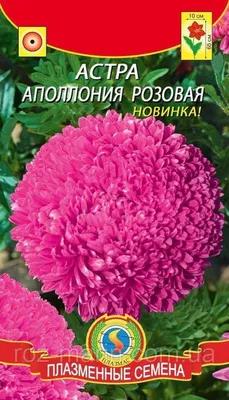 Астра Обыкновенная Белое безмолвие – купить семена в интернет-магазине Лафа  с доставкой по Москве, Московской области и России